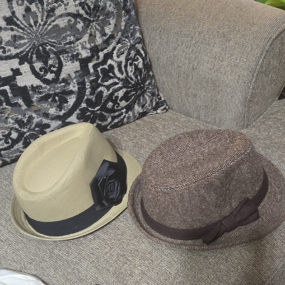 Stylish Beige and Brown Fedora Hats (2)